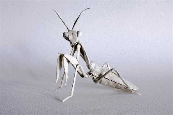 Incredible Origami Mantis