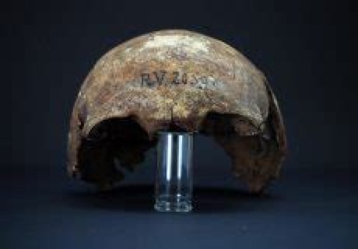 Rv 2039 Skull